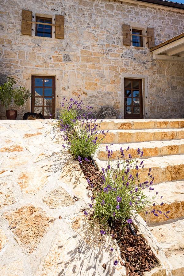 Stone House Dijana Istria Sveti Lovrec Villa Sveti Lovrec Pazenaticki Exterior photo